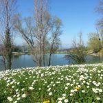 Lago di Monteleone