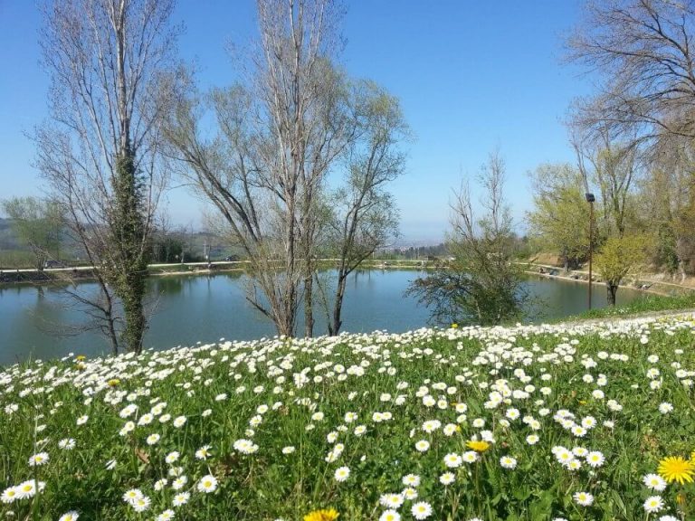 Lago di Monteleone